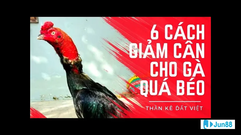 Bổ sung nước và chất điện giải