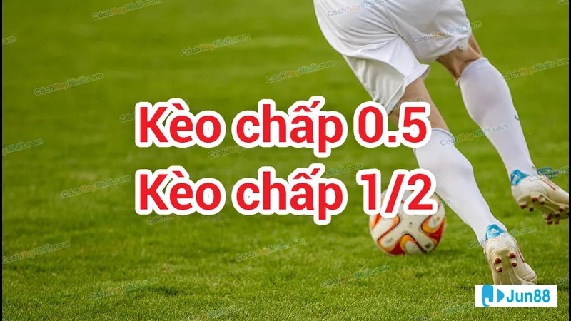 Nửa trái của kèo đặc biệt